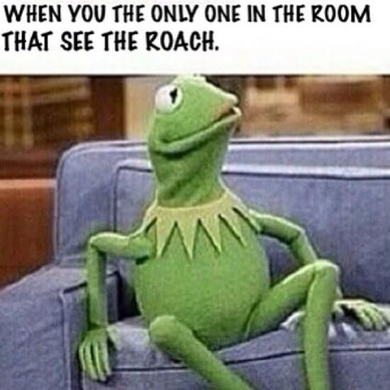 Kermit on couch