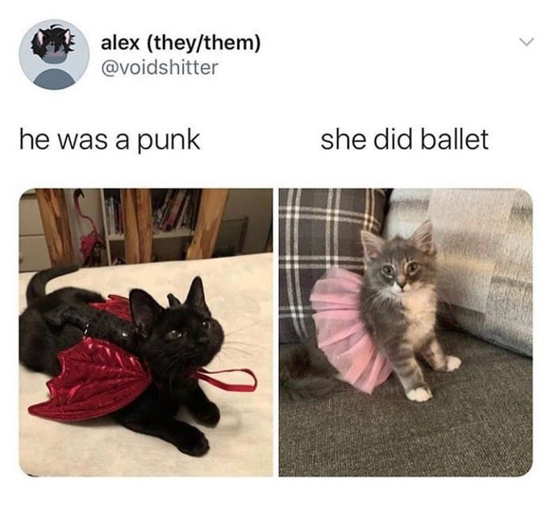 Kittens in costumes