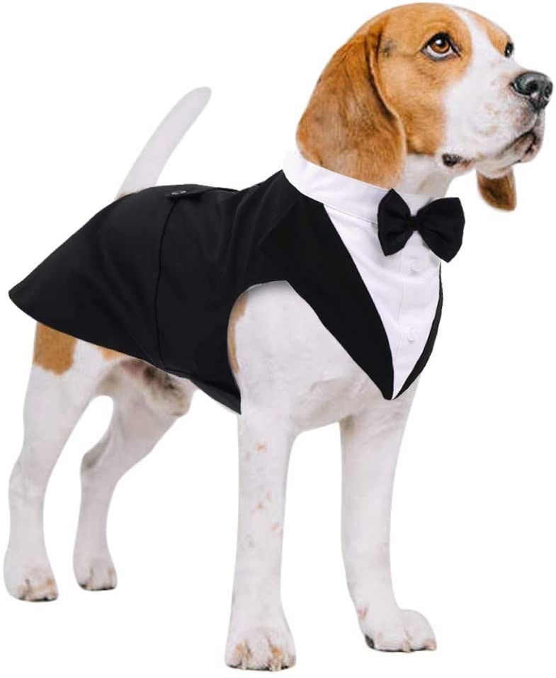 Kuoser dog suit costume