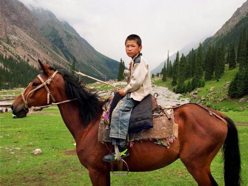 Kyrgyz Horse