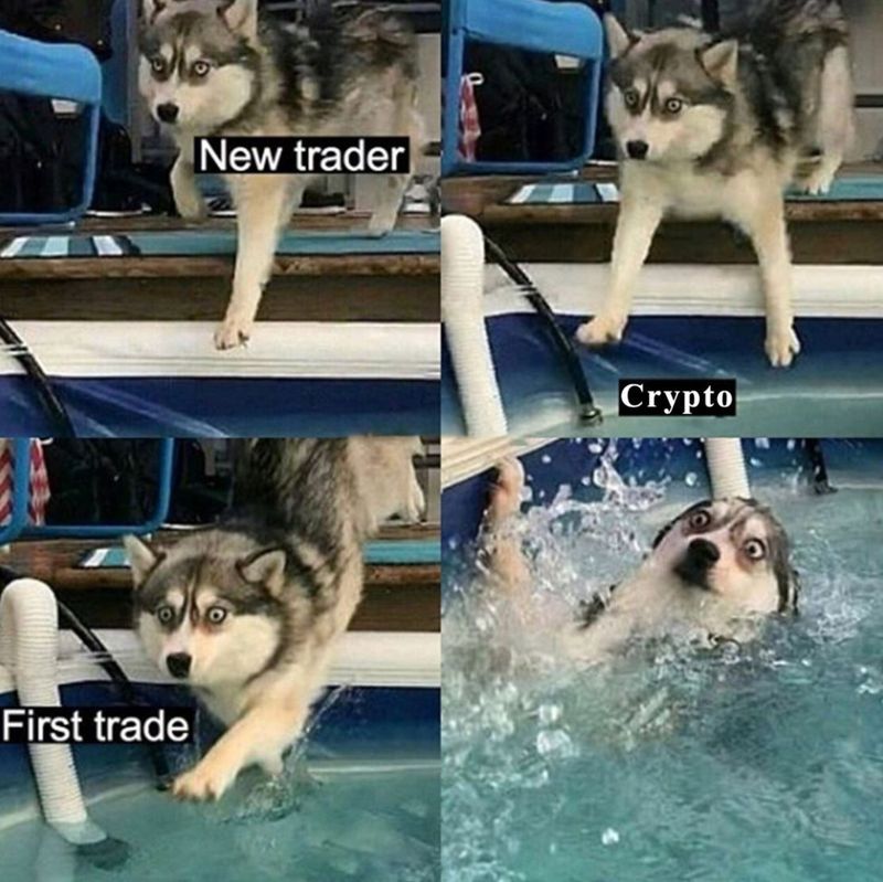 Learning how to swim in the crypto pool