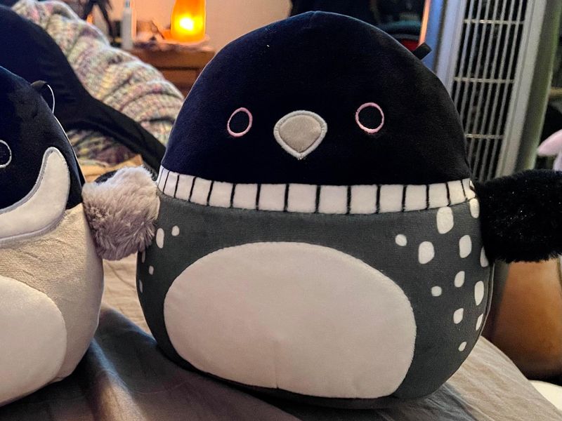 Lenora the Loon Squishmallow