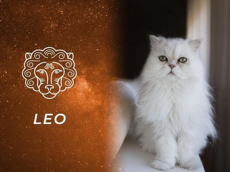 Leo: Persian