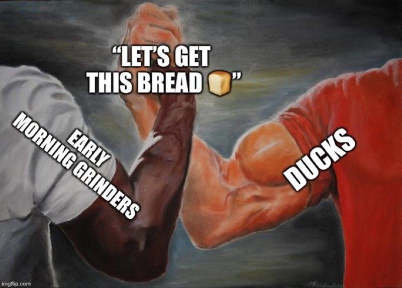 Let's get this bread