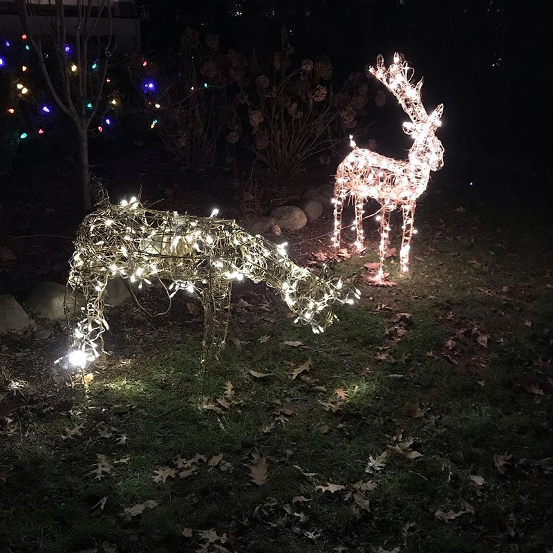 Lighted reindeers