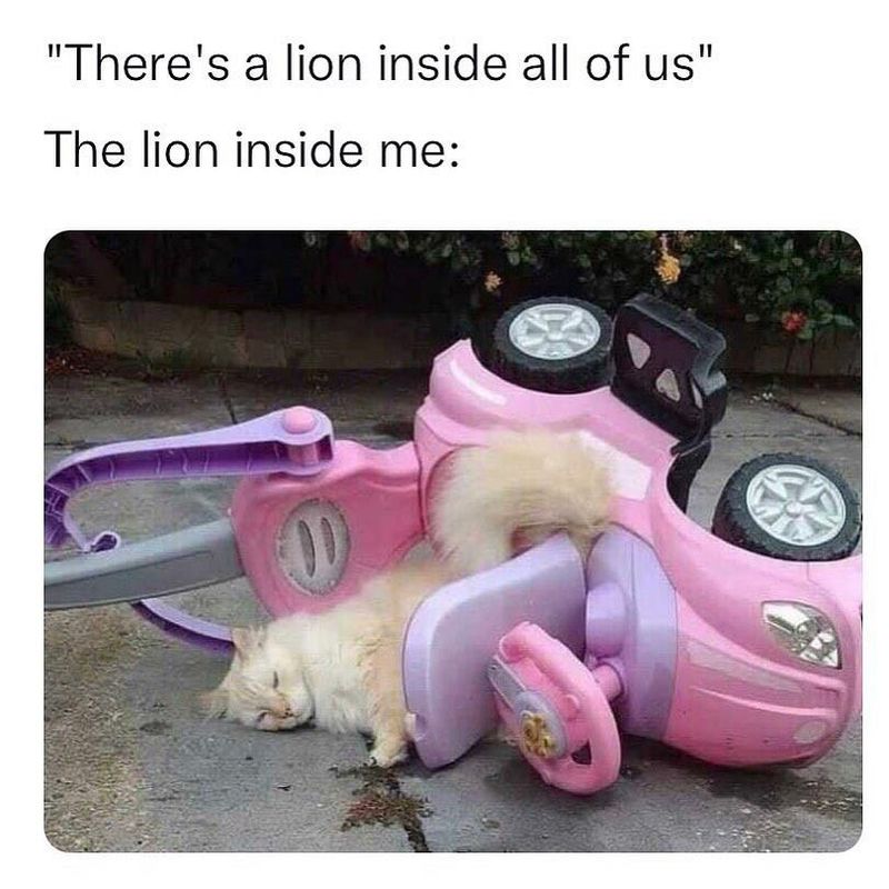 Lion inside all of us meme
