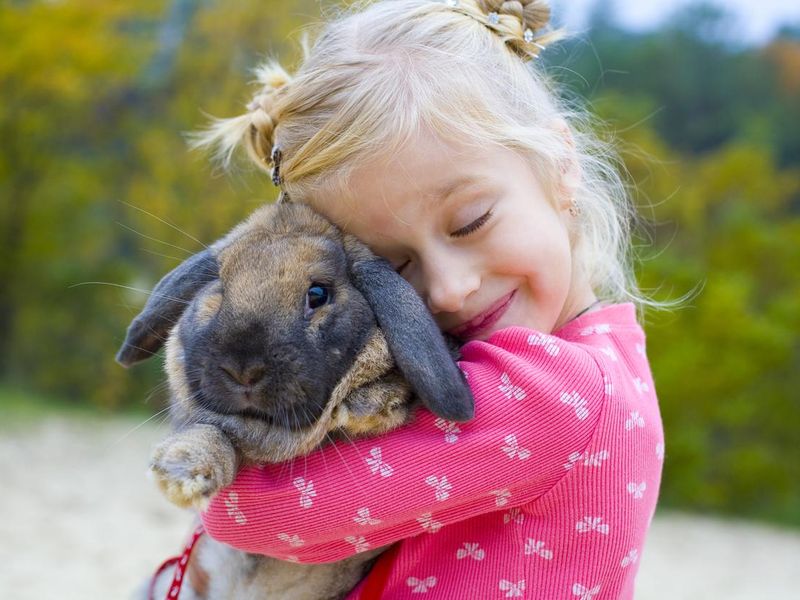 Little girl in pink clothes hugging a rabbit