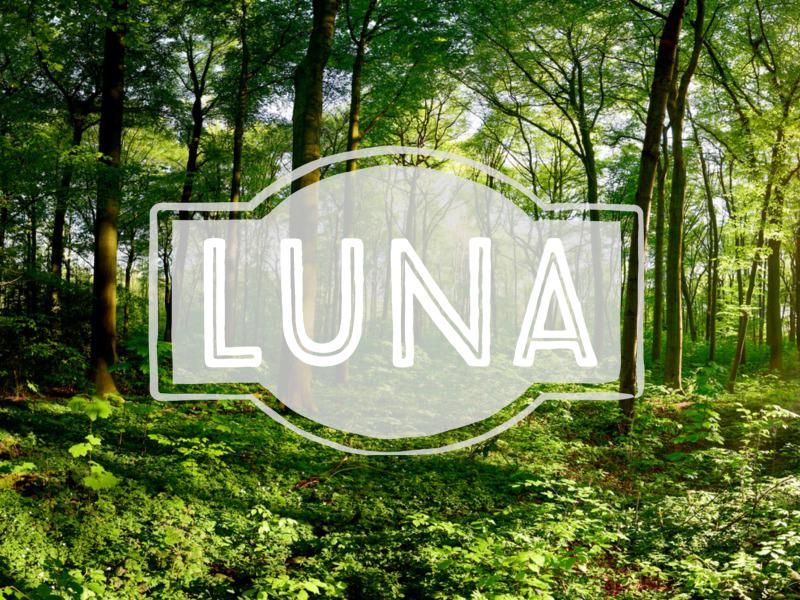 Luna nature-inspired baby name
