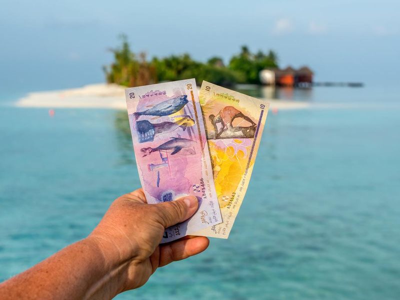 Maldivian rufiyaa bank notes