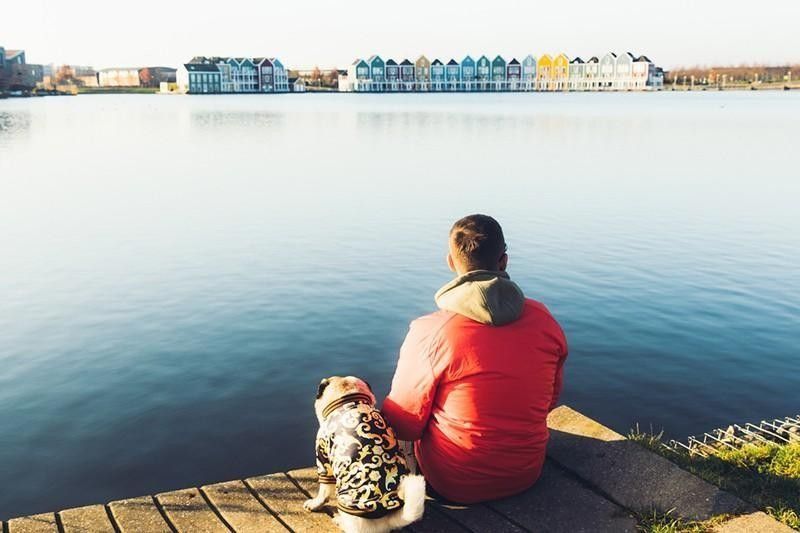 man and pug in netherlands