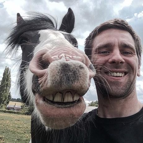 Man Taking Selfie With Horse