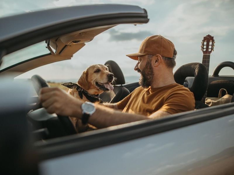 Man traveling with his dog in a convertible