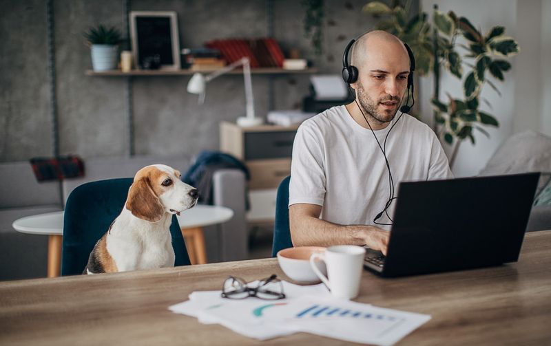 Man with dog on a laptop