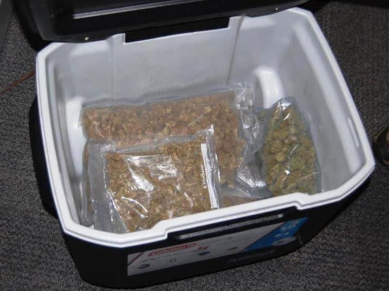 Marijuana in a cooler