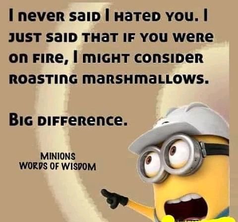 Marshmallow minion meme