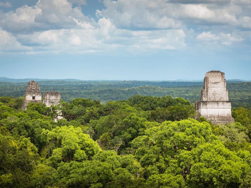 Mayan temple in Tikal rainforest in Guatemala