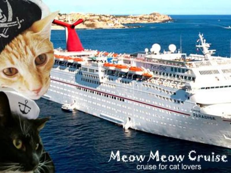 Meow Meow Cruise