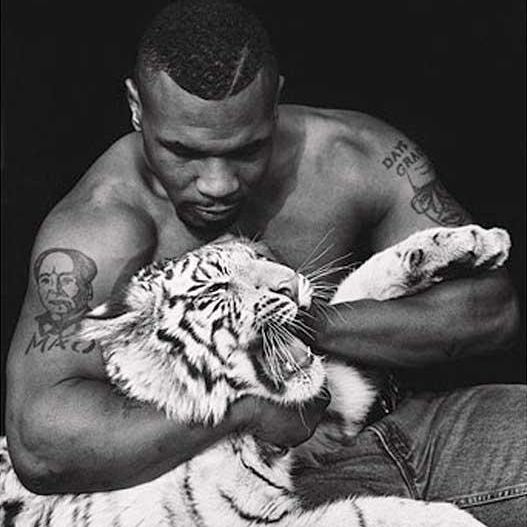 Mike Tyson tiger