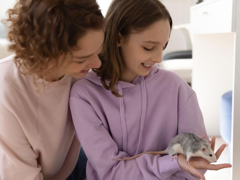 Mom and teenage daughter playing with domestic rat