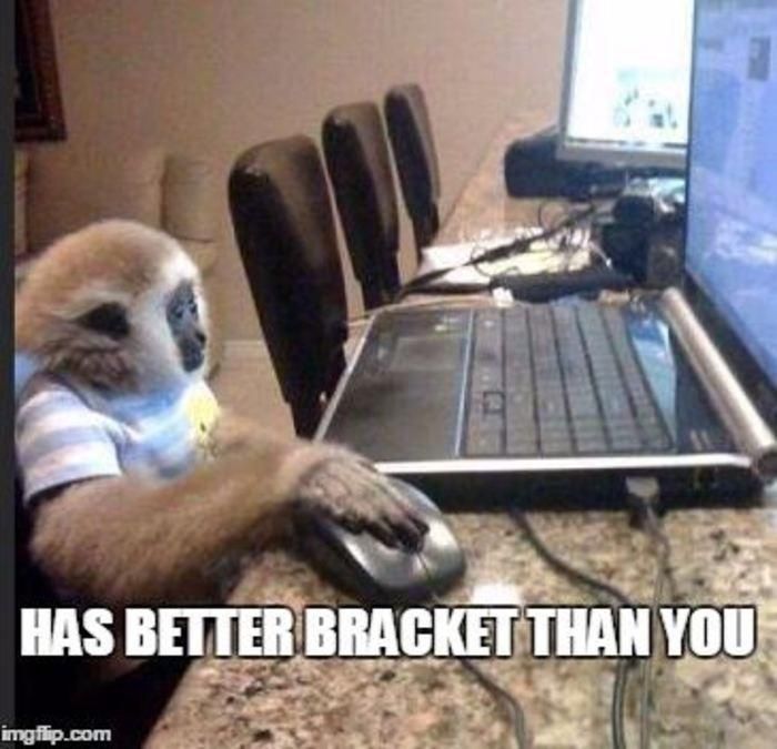 Monkey on a computer meme