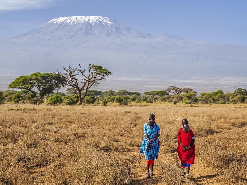 Mothers Walking Towards Kilimanjaro