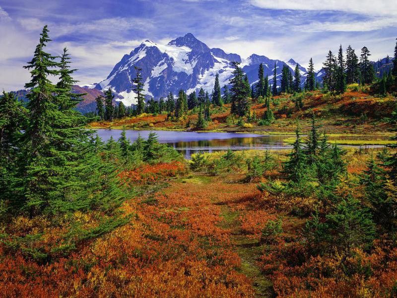 Mount Shuksan, Picture Lake, Washington, brilliant carpet orange autumn colors
