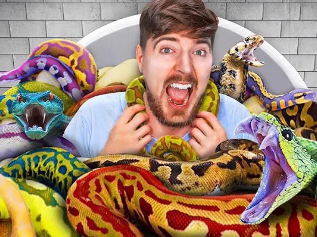 Mr. Beast with Snakes