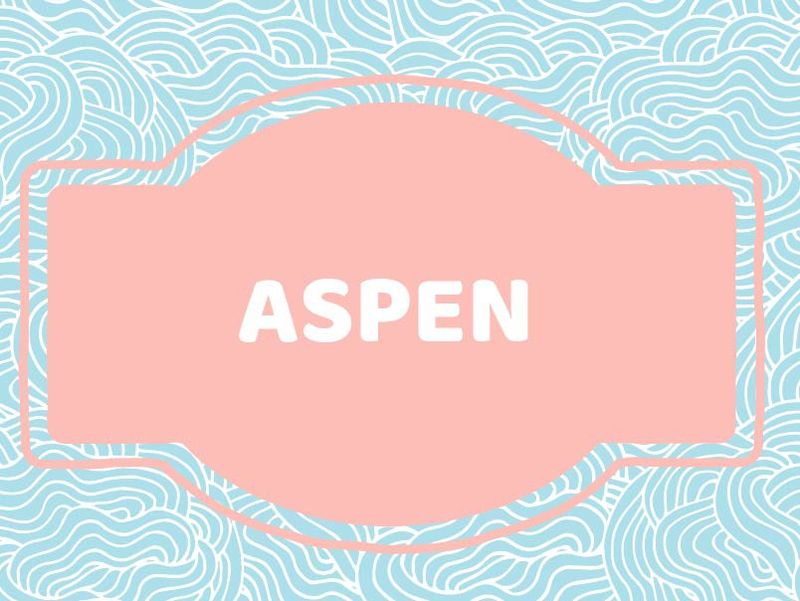 Nature-inspired baby name, Aspen