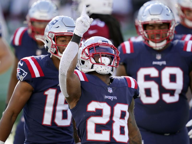 New England Patriots running back James White celebrates his touchdown