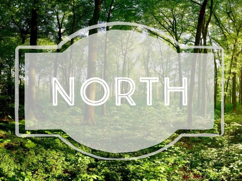 North nature-inspired baby name