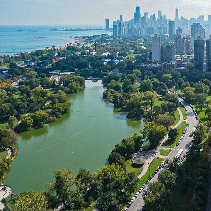 North pond and cityscape by Lincoln Park