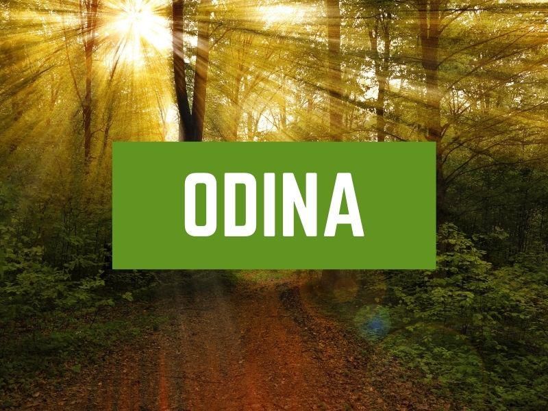 Odina