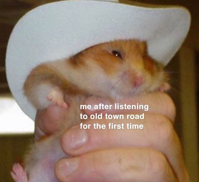 Old Town Road hamster meme