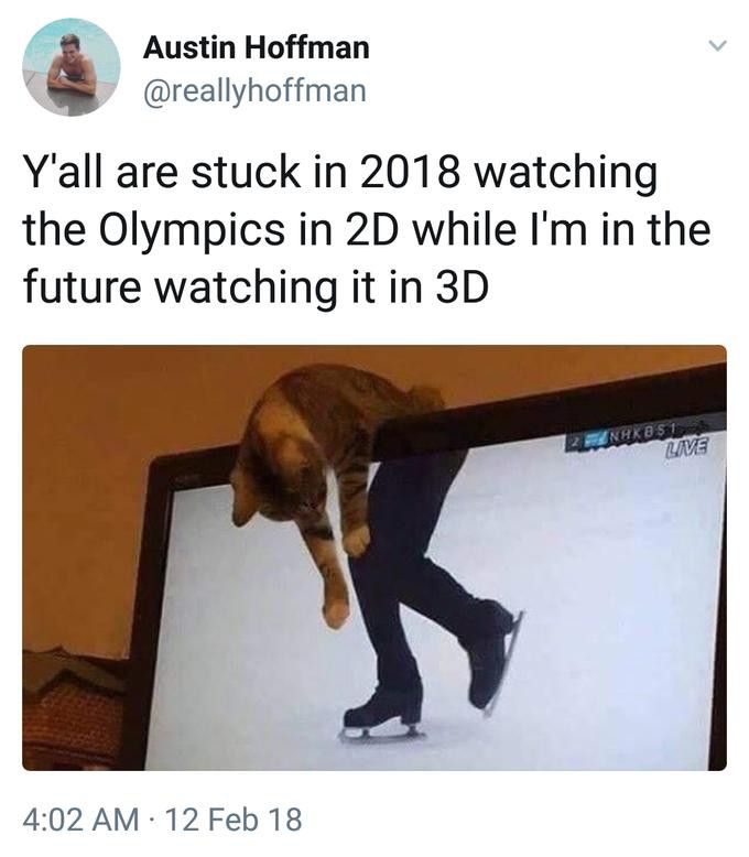 Olympics figure skating cat