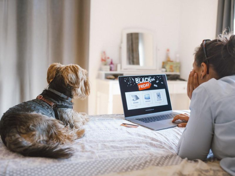 Online mystery shopper working with dog
