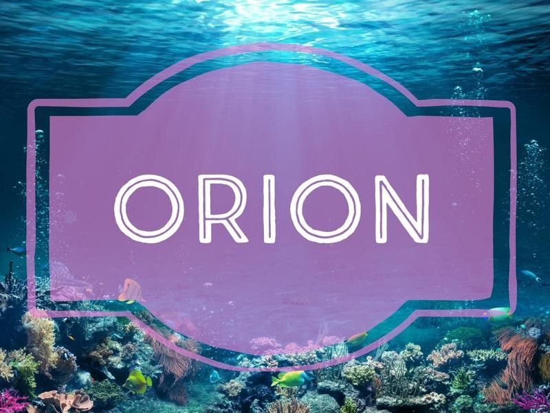 Orion nature-inspired baby name