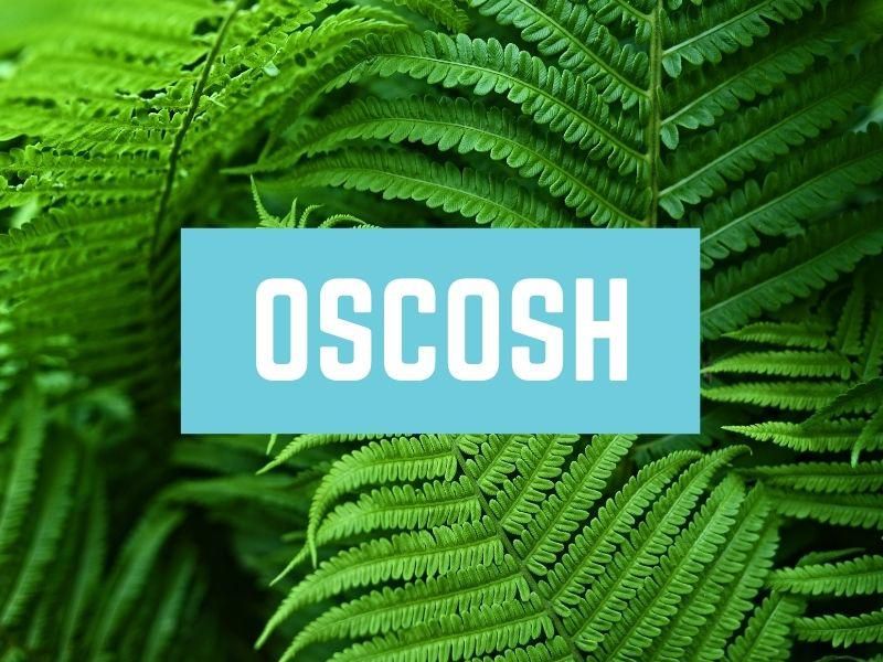 Oscosh