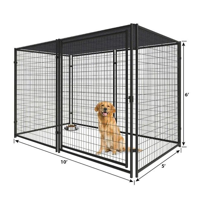 Outside Dog Kennel With Roof, Outdoor Dog Cage Ideas