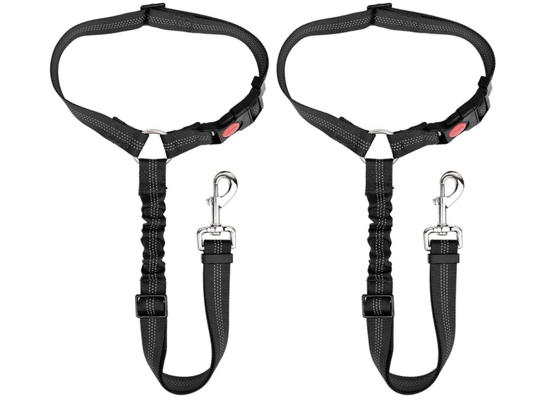 Pack of two dog seat belts
