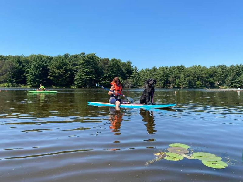 Paddle boarding with dogs at Camp Dogwood