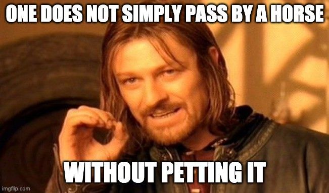 Pass by a horse without petting it meme