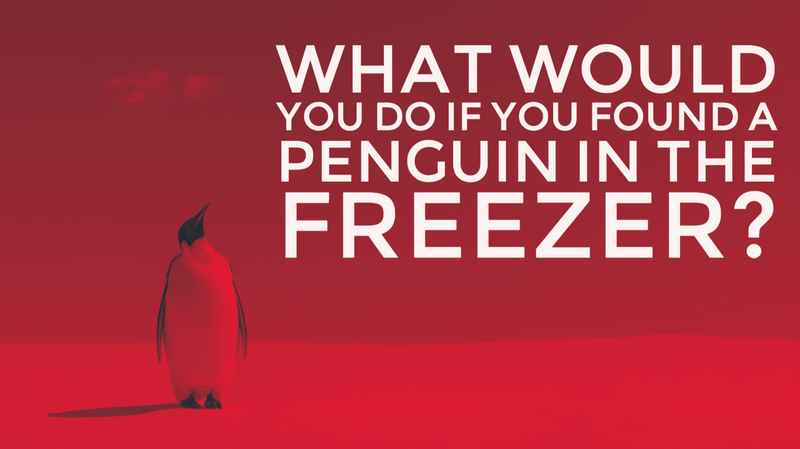 Penguin in the freezer