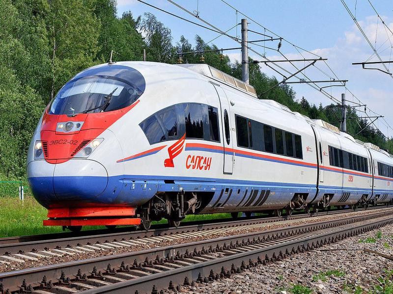 Peregrine Falcon train in Russia