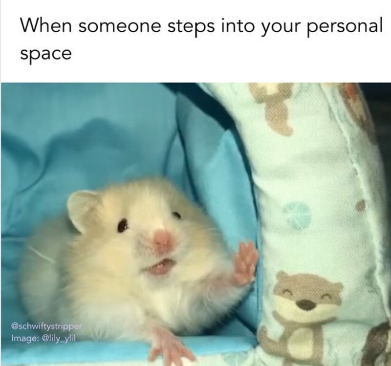 Personal space meme