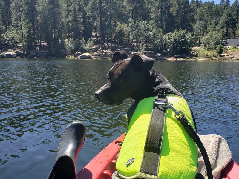 Pet-friendly lake in Payson, Arizona
