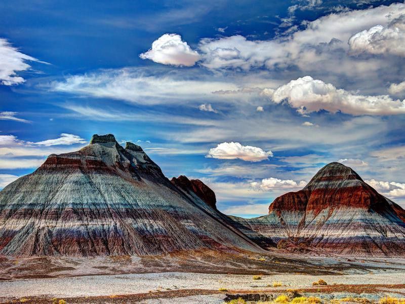 Petrified forest colorful mountains