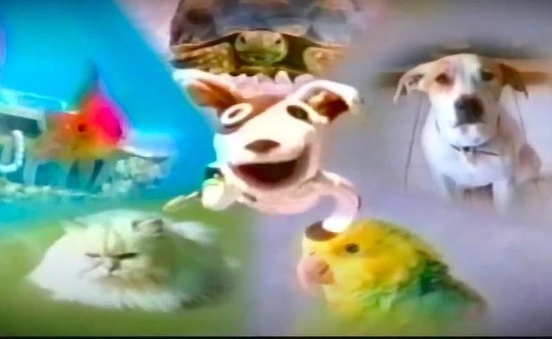Pets.com commercial in 2000