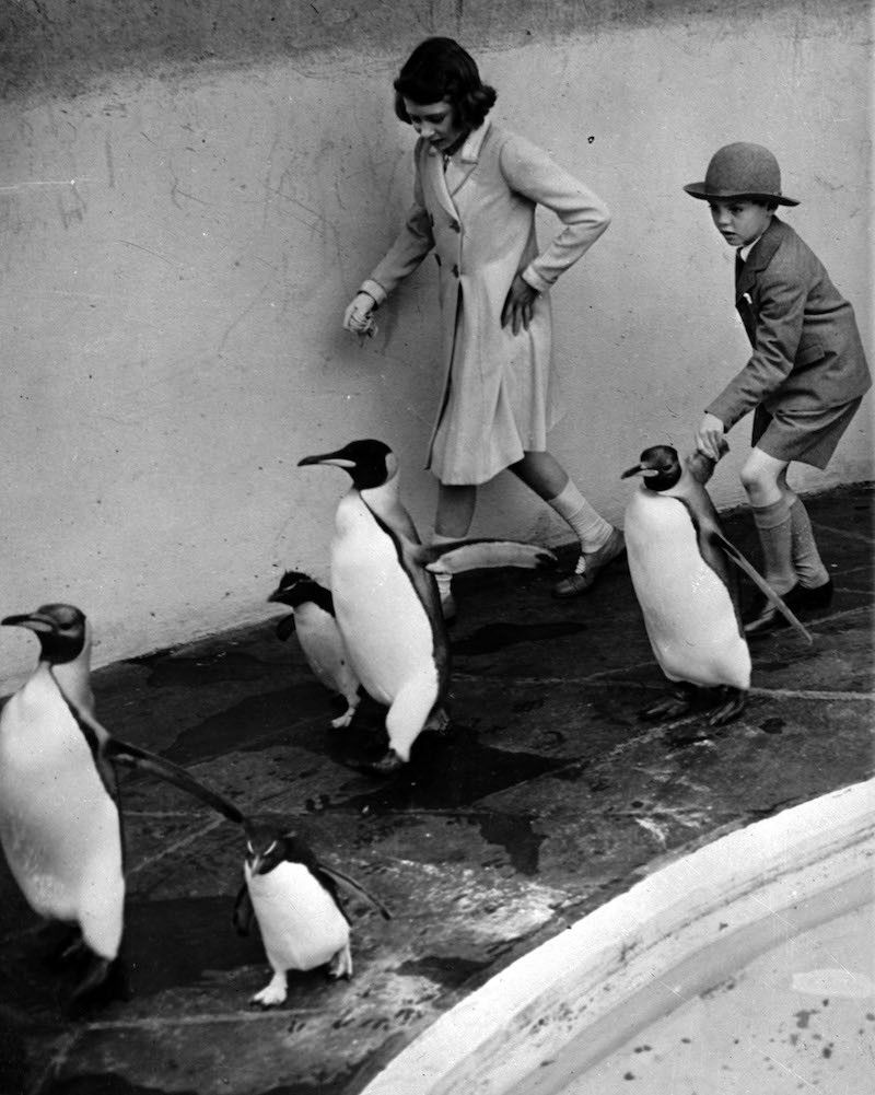 Princess Elizabeth with penguins