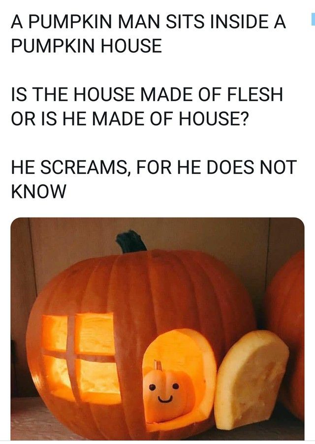 Pumpkin meme