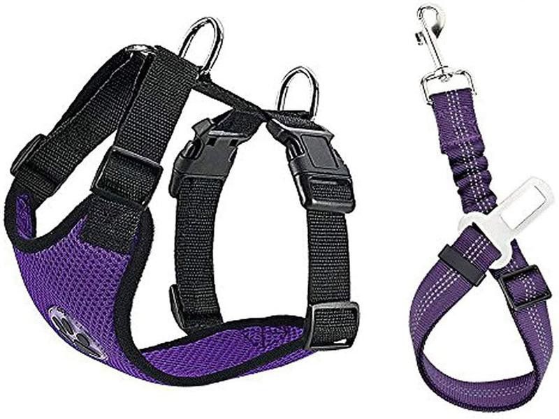 Purple dog harness with paw print